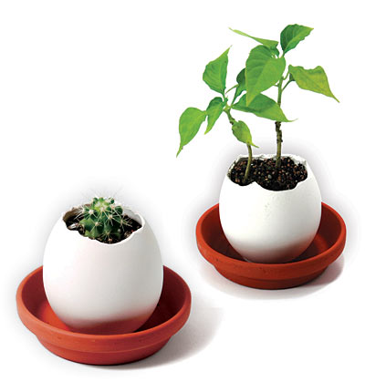 egglings