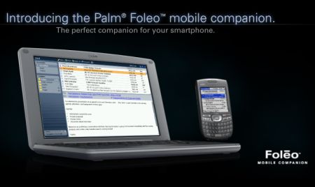 palm-folio.jpg