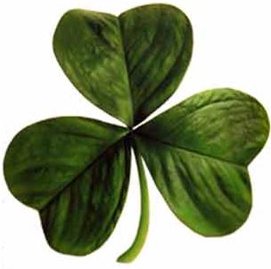 irish_clover.jpg