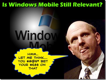 windowsrelevant-thumb-1.jpg