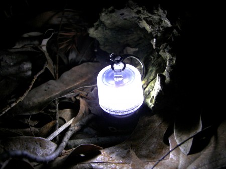 Coghlan\'s LED Micro Lantern in the Leaves
