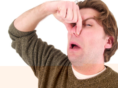 Picture 22.png