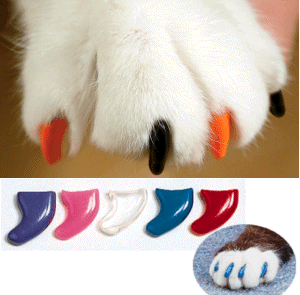 softclaws.gif