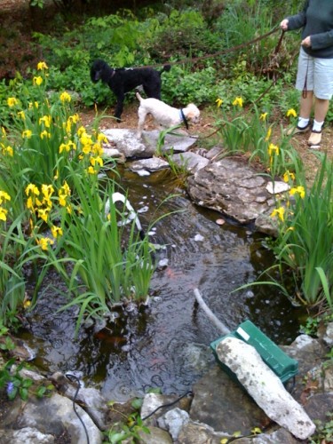 photo2