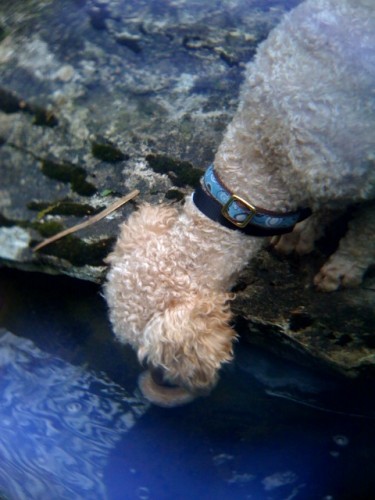photo3