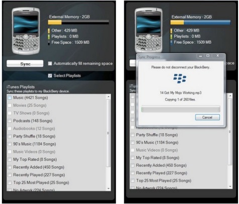 blackberry itunes media manager.jpg