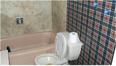 no toilet flus.jpg