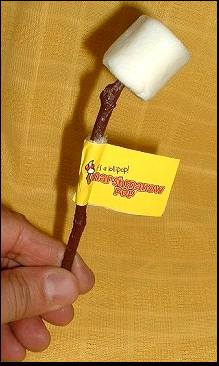 toasted marshmallow lollipop.jpg