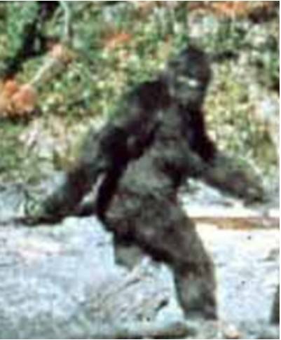 bigfoot .jpg