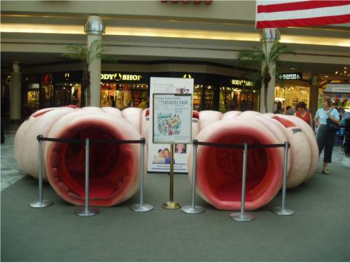 colossal colon.jpg