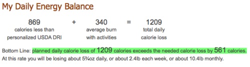 my net diary daily energy balance.jpg