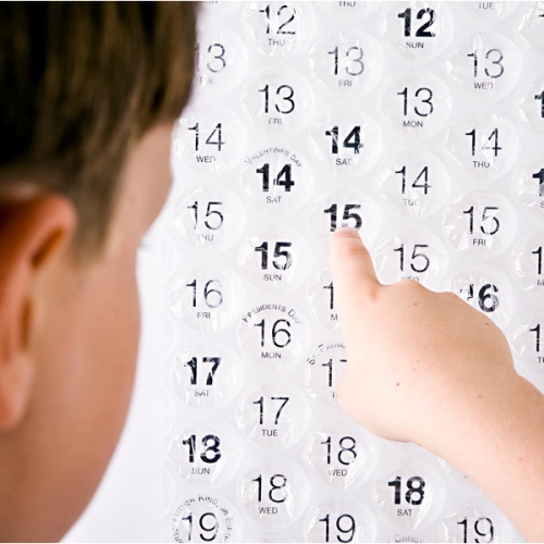 2009 bubble calendar.jpg