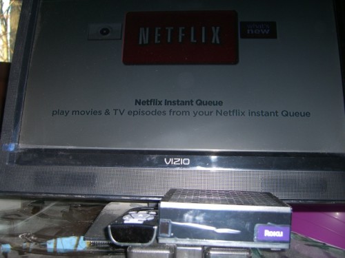 The Netflix Player by Roku Review