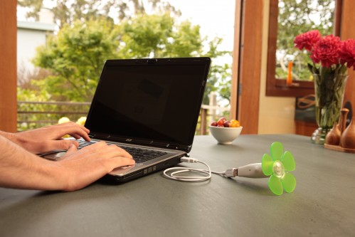 easybloom-in-a-usb