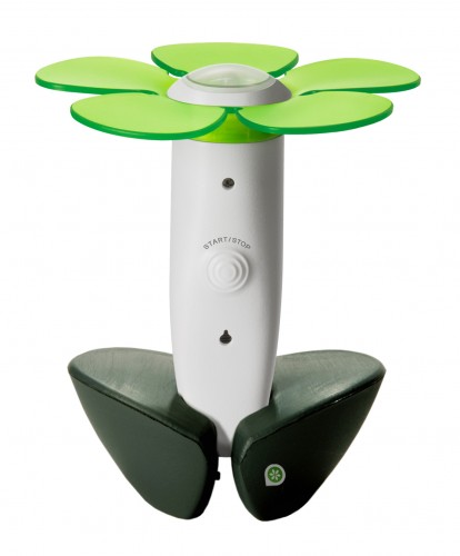 easybloom-in-the-cradle