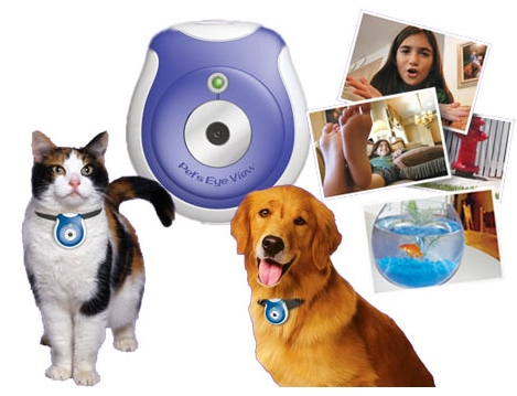 Gear Diary Crazy cat ladies rejoice   relive every moment of the cats day with a pets eye view camera photo