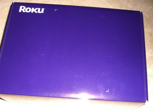 The Netflix Player by Roku Review