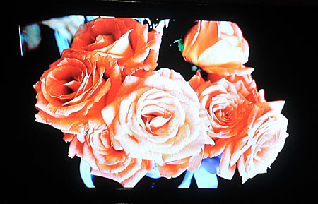 rosesd300hdtvnokia