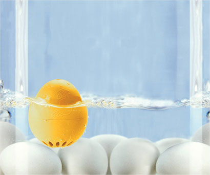 beepegg.jpg