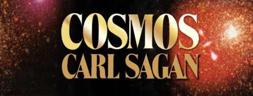 cosmos