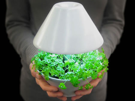 lightpot-growing-led2.jpg