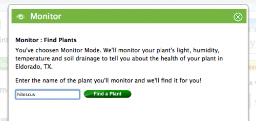 Gear Diary EasyBloom Plant Sensor Review photo Gear Diary EasyBloom Plant Sensor Review photo