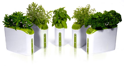 power_plant_herb_garden_inuse