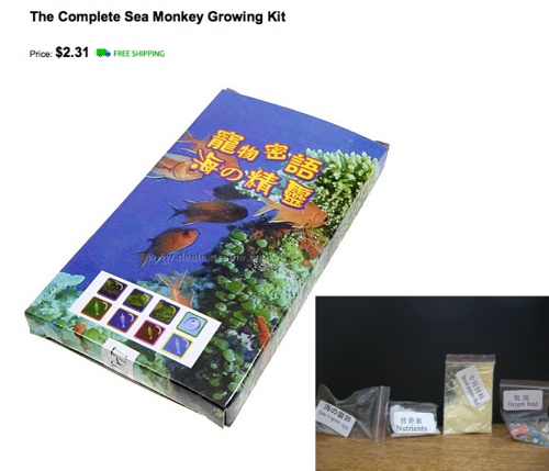seamonkey growing kit.jpg
