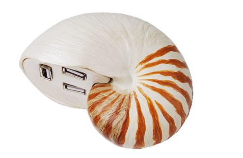 USB Shell.jpg