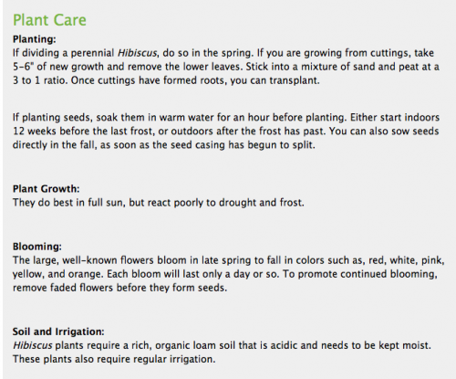 Gear Diary EasyBloom Plant Sensor Review photo Gear Diary EasyBloom Plant Sensor Review photo