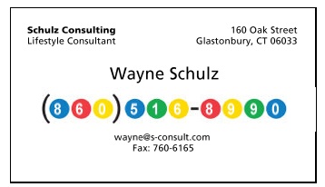 schulz consulting mas90 consultant.jpg