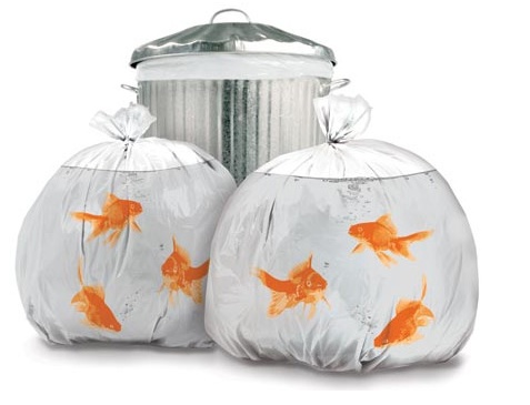 goldfish trash bags.jpg