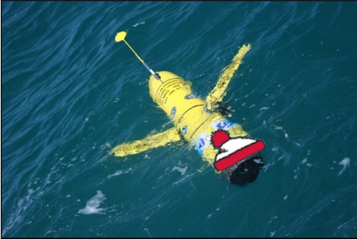 waldo robot florida.jpg