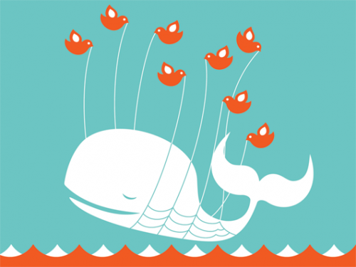 whale