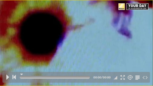 Screen shot 2009-11-25 at 7.04.54 AM Screen shot 2009-11-25 at 7.04.54 AM
