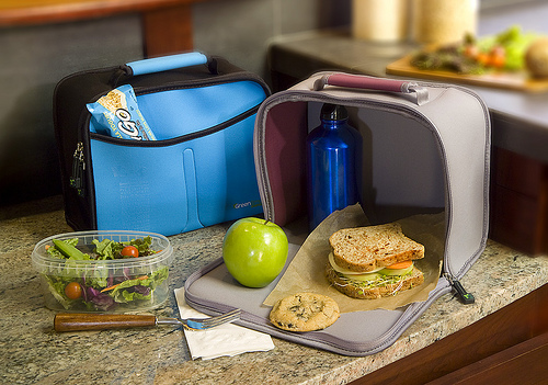 gear diary lunch tote 2