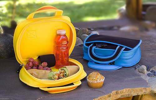 gear diary neogreene lunch tote