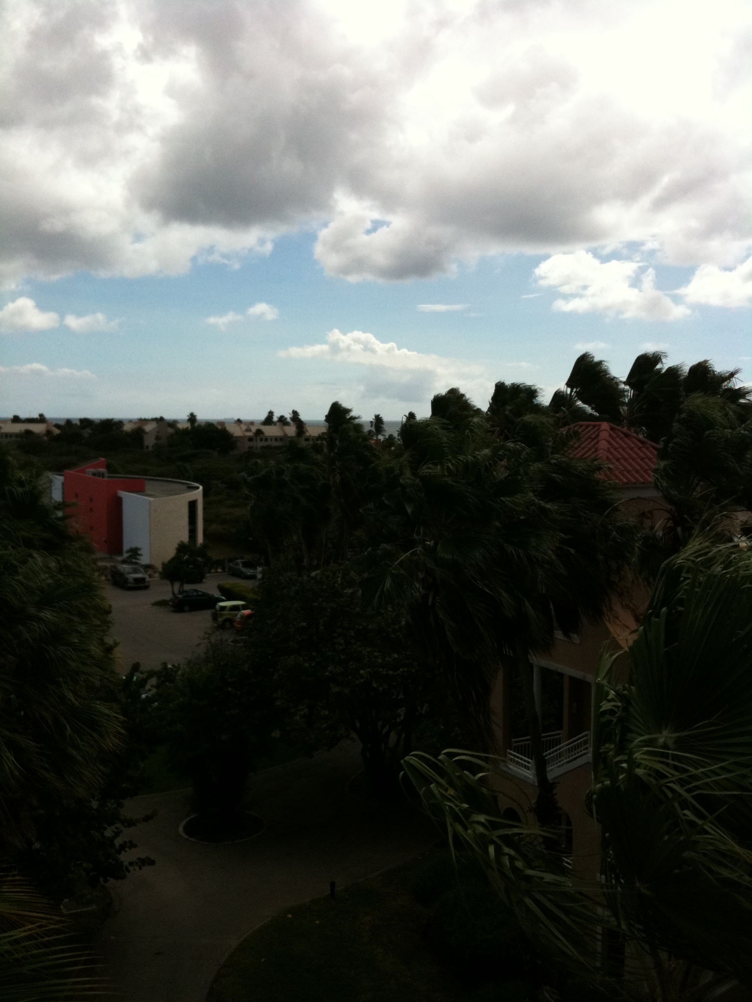 Img001_1536x2048.jpg