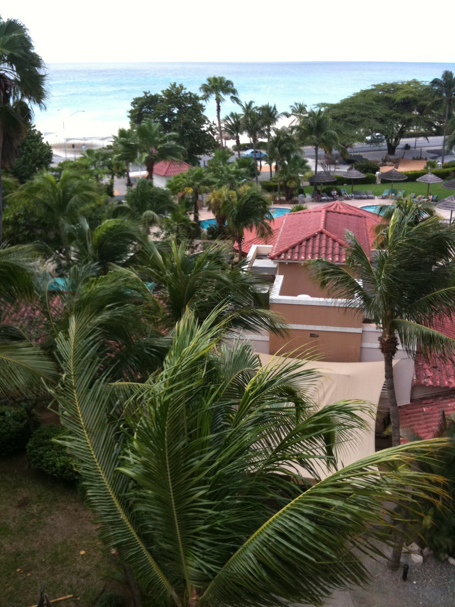 Img004_1536x2048.jpg