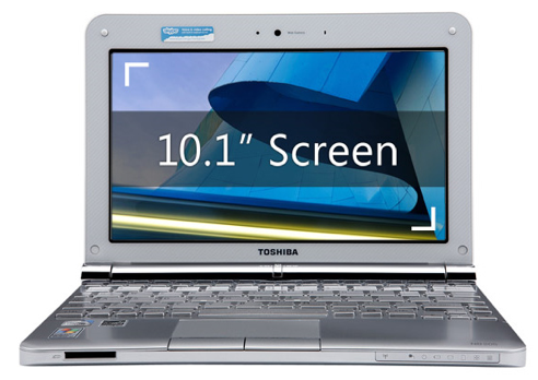 Toshiba NB205 Safari.png