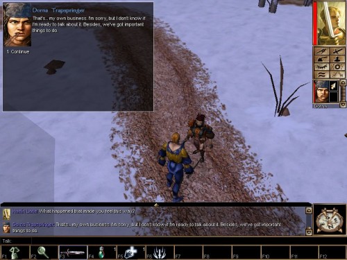 Neverwinter Nights (2002, RPG): The Netbook Gamer