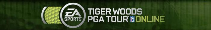 Tiger Woods PGA Tour Golf ... MMO Game?