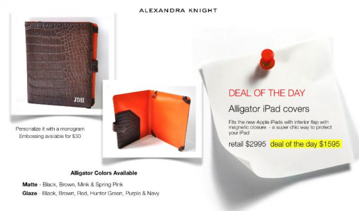 Alexandra Knight May Have the Most Gorgeous iPad Case of All