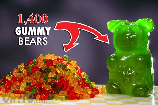World's Largest Gummy Bear ... What is the Serving Size?