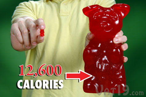 World's Largest Gummy Bear ... What is the Serving Size?