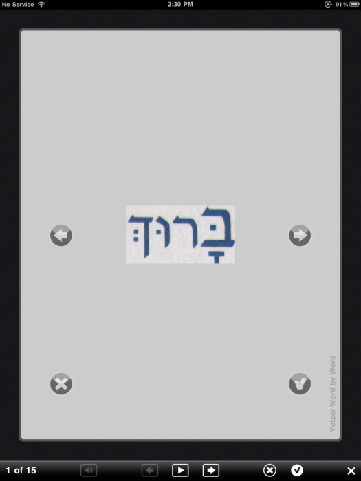 Sunday (Actually Every Day), the Rabbi Used an iPad
