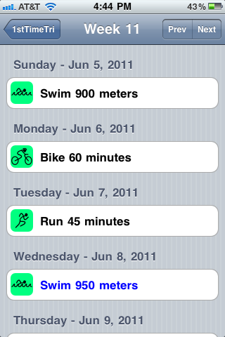 Using Technology to Train for My First Triathlon