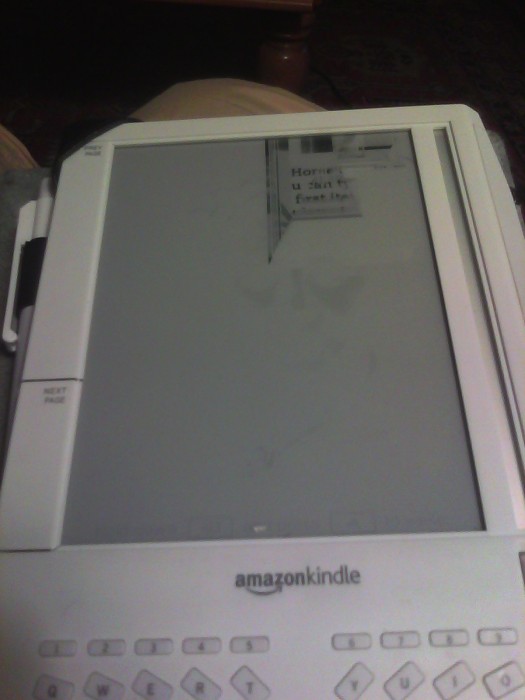 The Circle of Technological Life, or, RIP Kindle 1