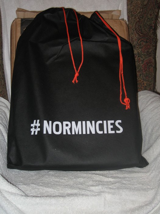 Normincie's Revolutionary Laptop Bag Review