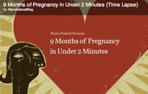 Really Cool Time Lapse Pregnancy Video Shows 9 Months in Under 2 Minutes!